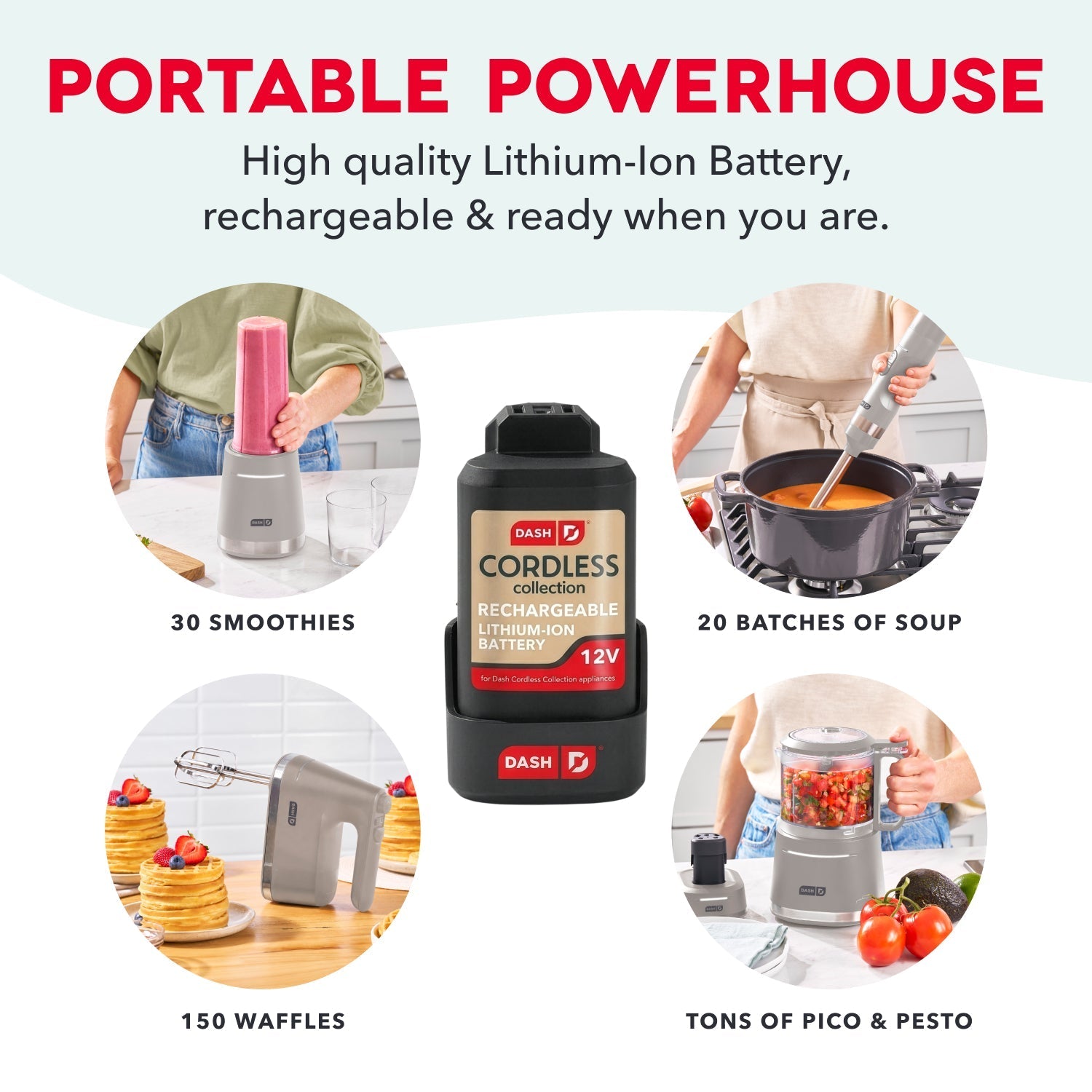 Cordless Lithium-Ion Battery