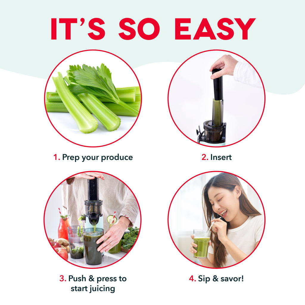 Compact Cold Press Power Juicer
