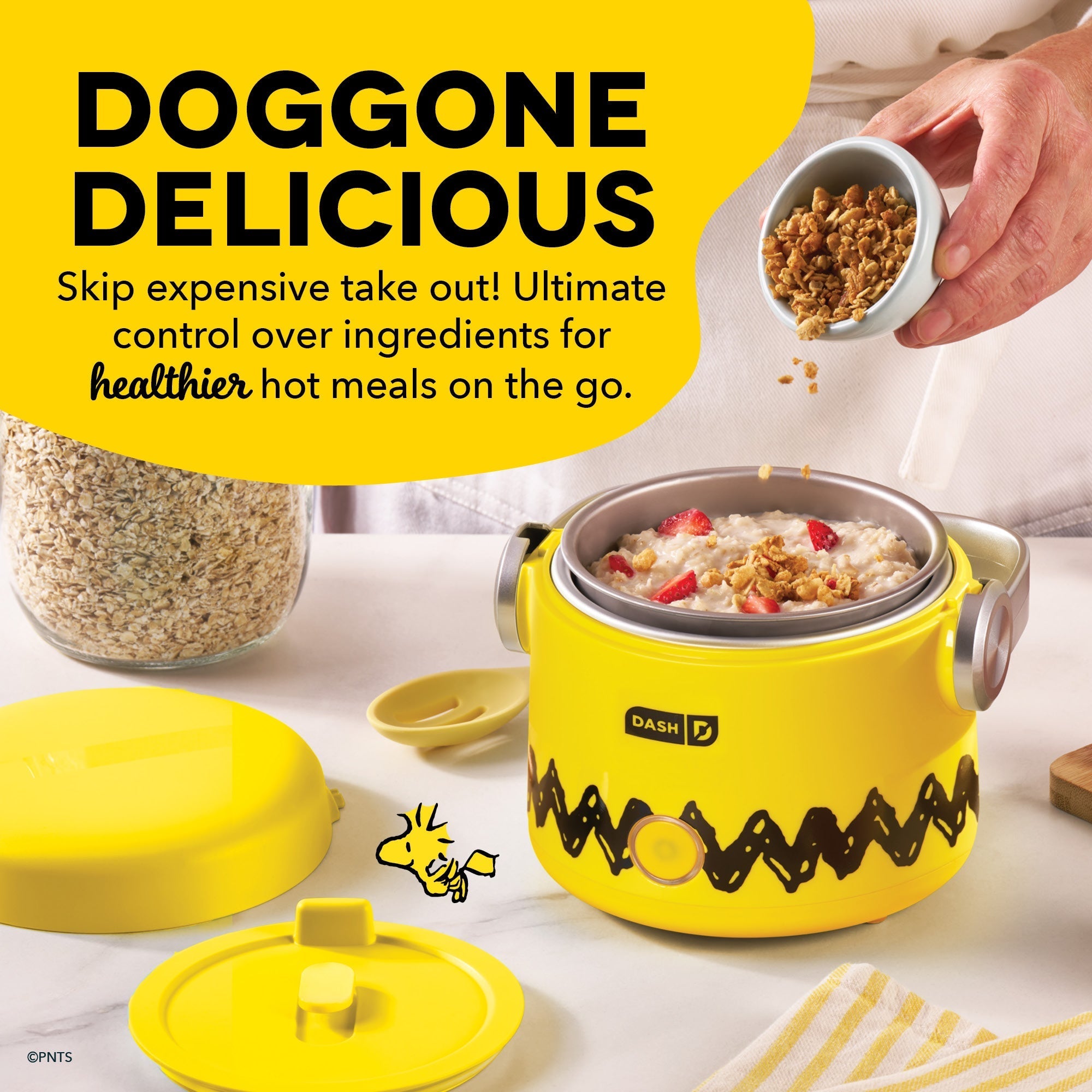 Hot2Go™ Electric Lunchbox (20 Ounce)